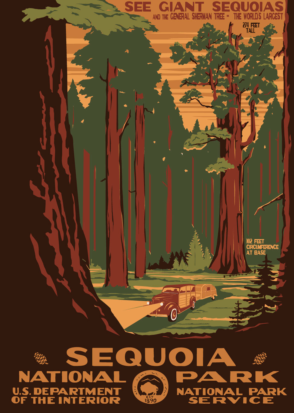 Sequoia--medium.jpg