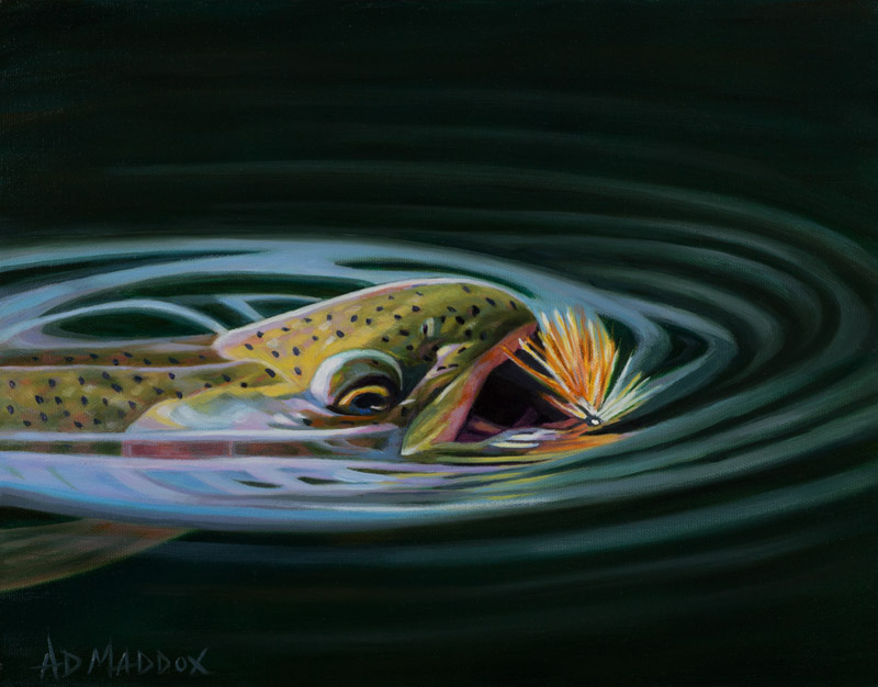 Fly fishing for trout, Midwest fly fishing, trout fishing oil paintings